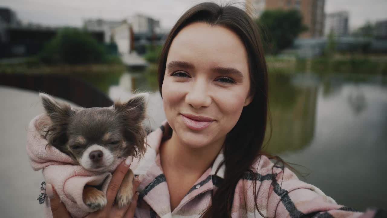 快乐的高加索女人抱着她的吉娃娃和视频通话。女孩在网上摄像头聊天，与朋友交流，记录生活方式Vlog，博客在线流媒体，告诉新闻。视频素材