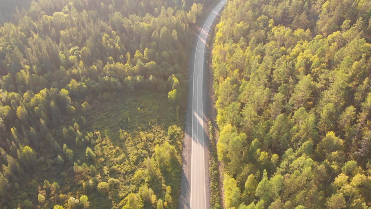 在夏日夕阳的余晖中，汽车沿着森林中央一条风景如画的道路行驶。视频素材