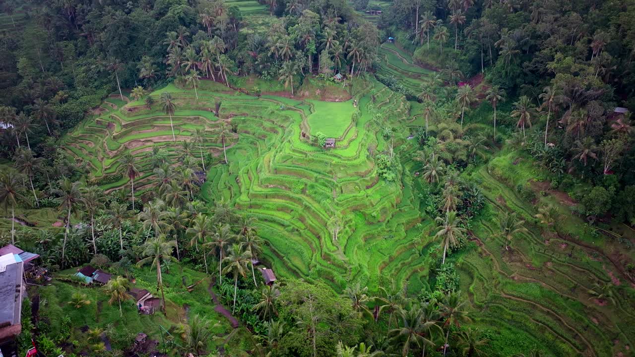 受欢迎的印尼旅游景点，特加拉朗，人口过多的地区视频素材