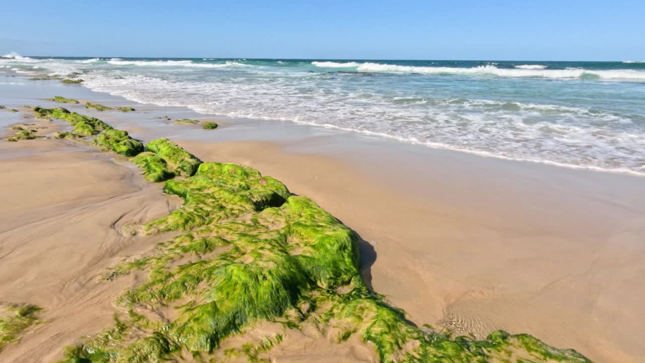 海浪拍打着长满青苔的岩石视频素材