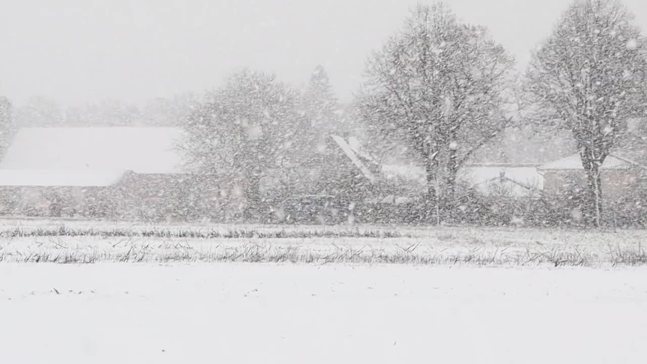 宁静的冬日乡村被白雪覆盖，树木被一层宁静的白色毯子包裹着视频下载