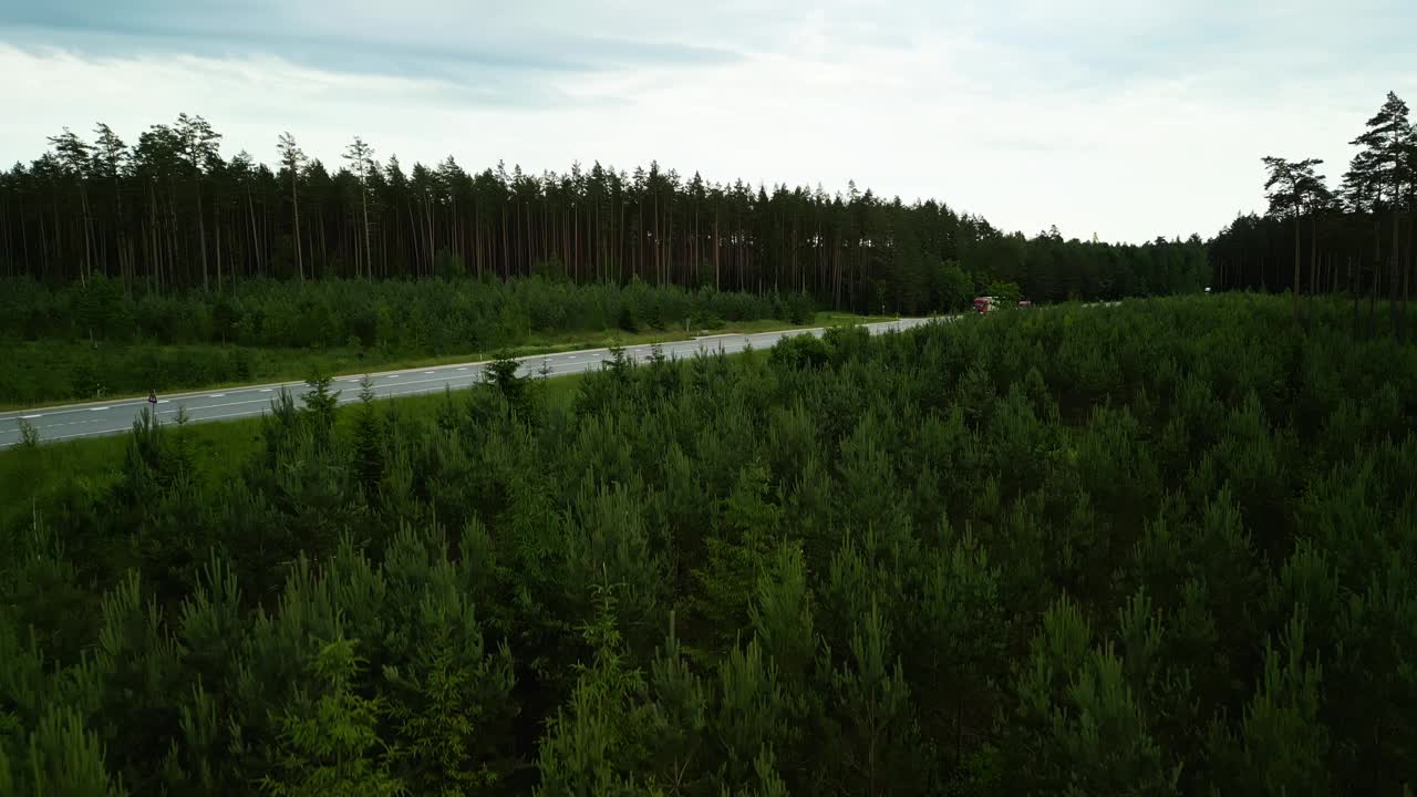 迷人的鸟瞰图，宁静的道路蜿蜒穿过茂密的森林，提供宁静的自然美景视频素材