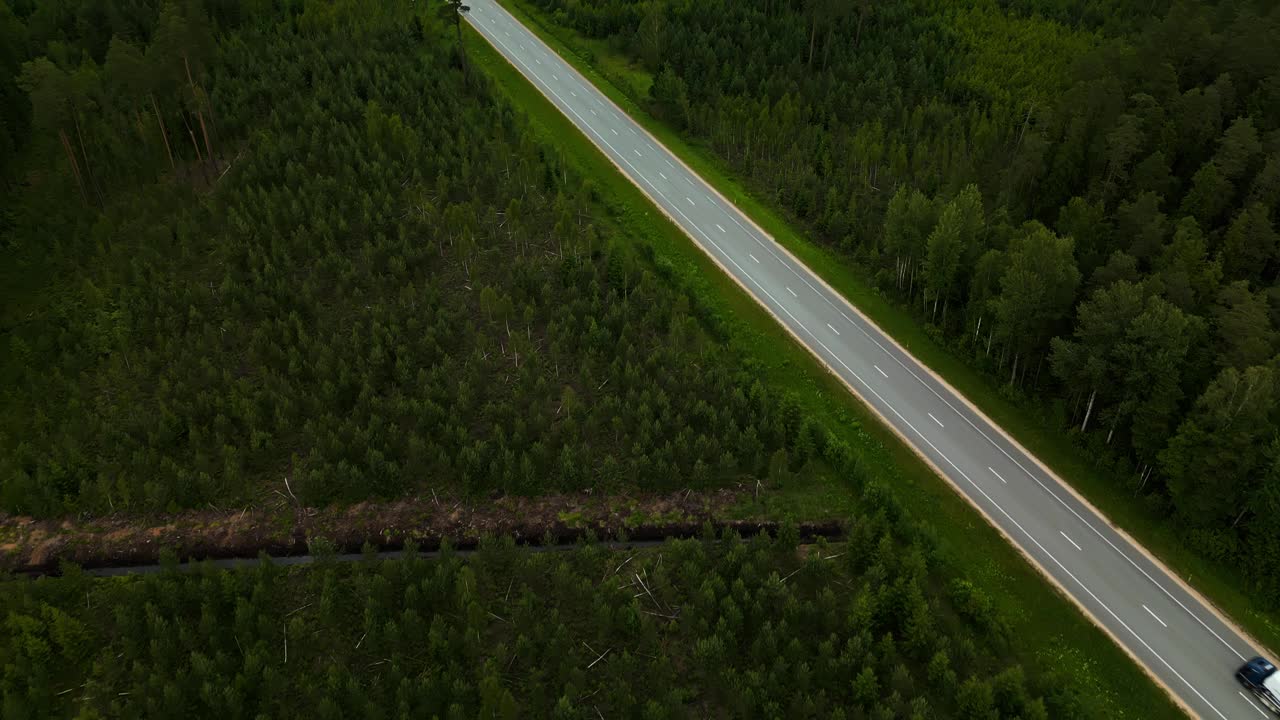 在宁静和自然的环境中，从高处观察森林道路上的车辆视频素材