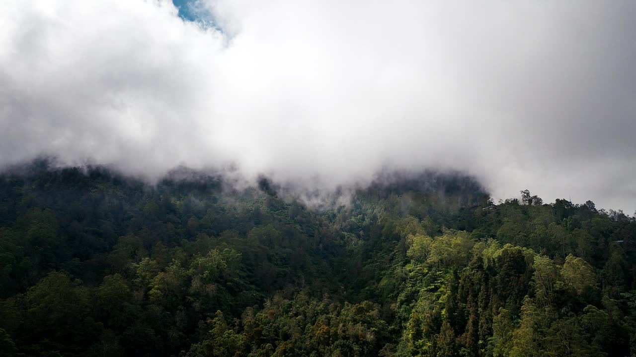 密林地区，云毯覆盖背景风景，空中视频素材