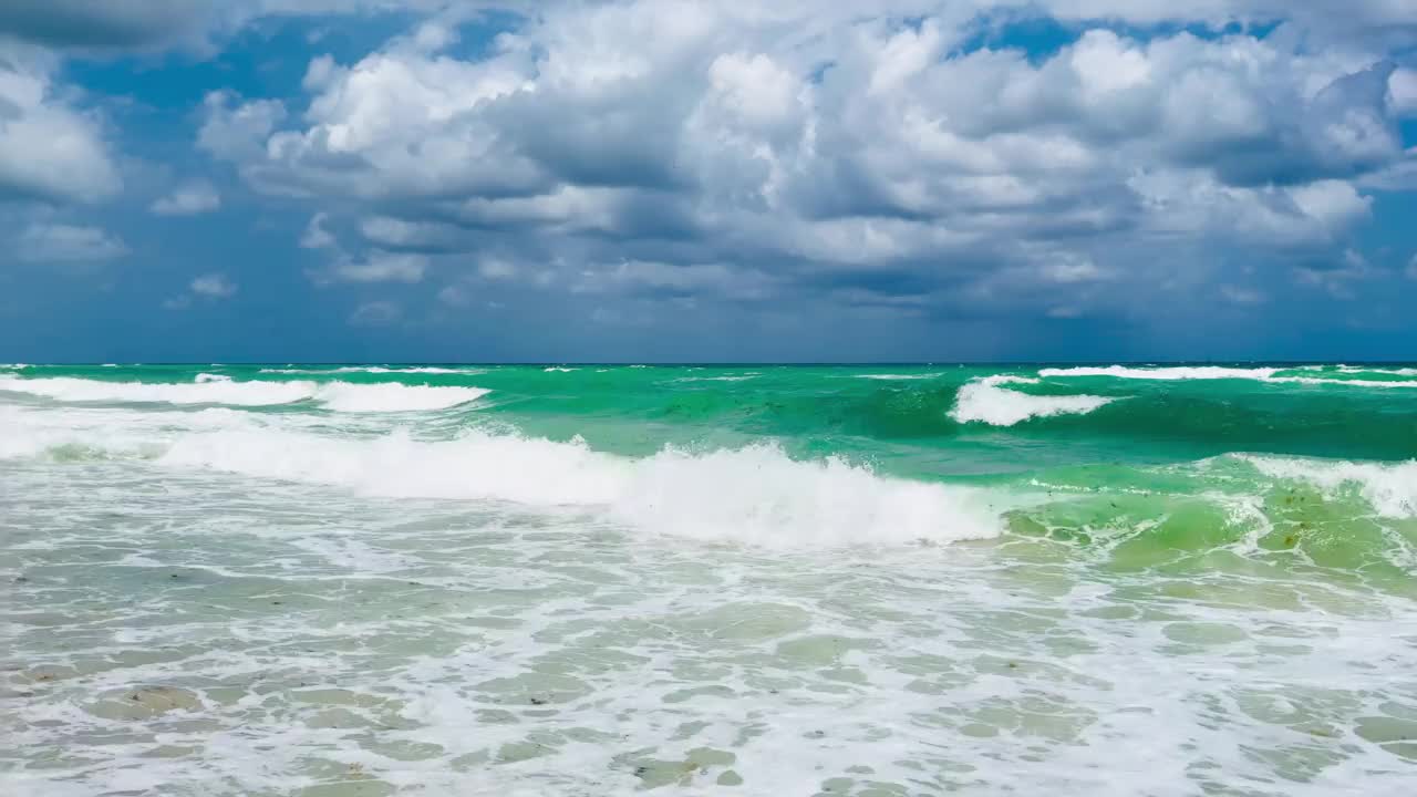 迈阿密海滩上的海浪视频下载