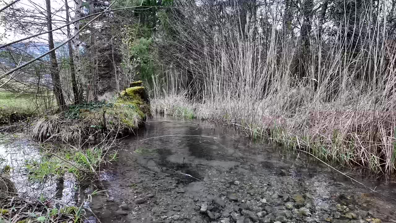 溪河溪水，清澈见底的自然山水，森林视频素材