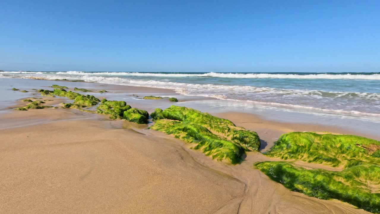 海浪拍打着长满海藻的岩石视频素材