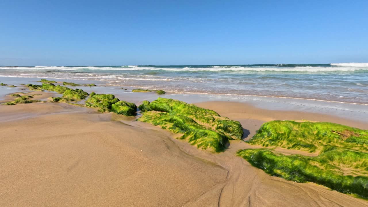 海浪拍打着长满海藻的岩石视频素材