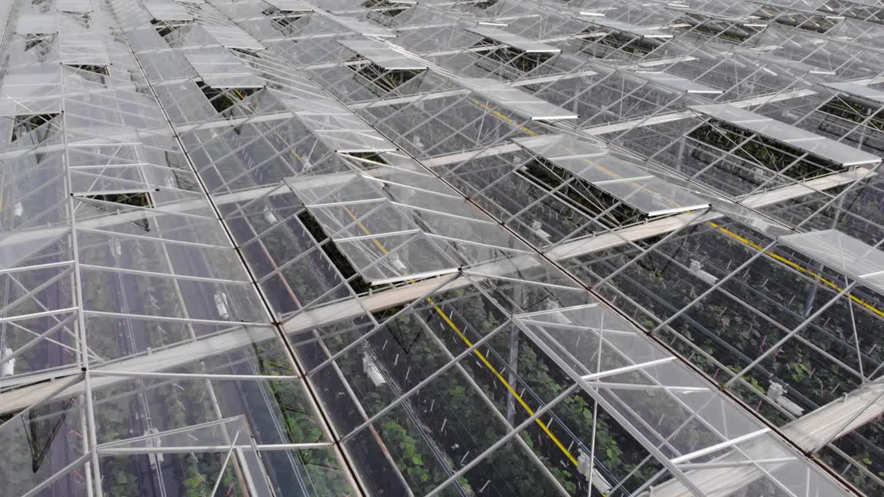 大温室蔬菜鸟瞰图，温室透明玻璃屋顶。现代高科技温室俯瞰。鸟瞰大型工业技术温室。视频素材