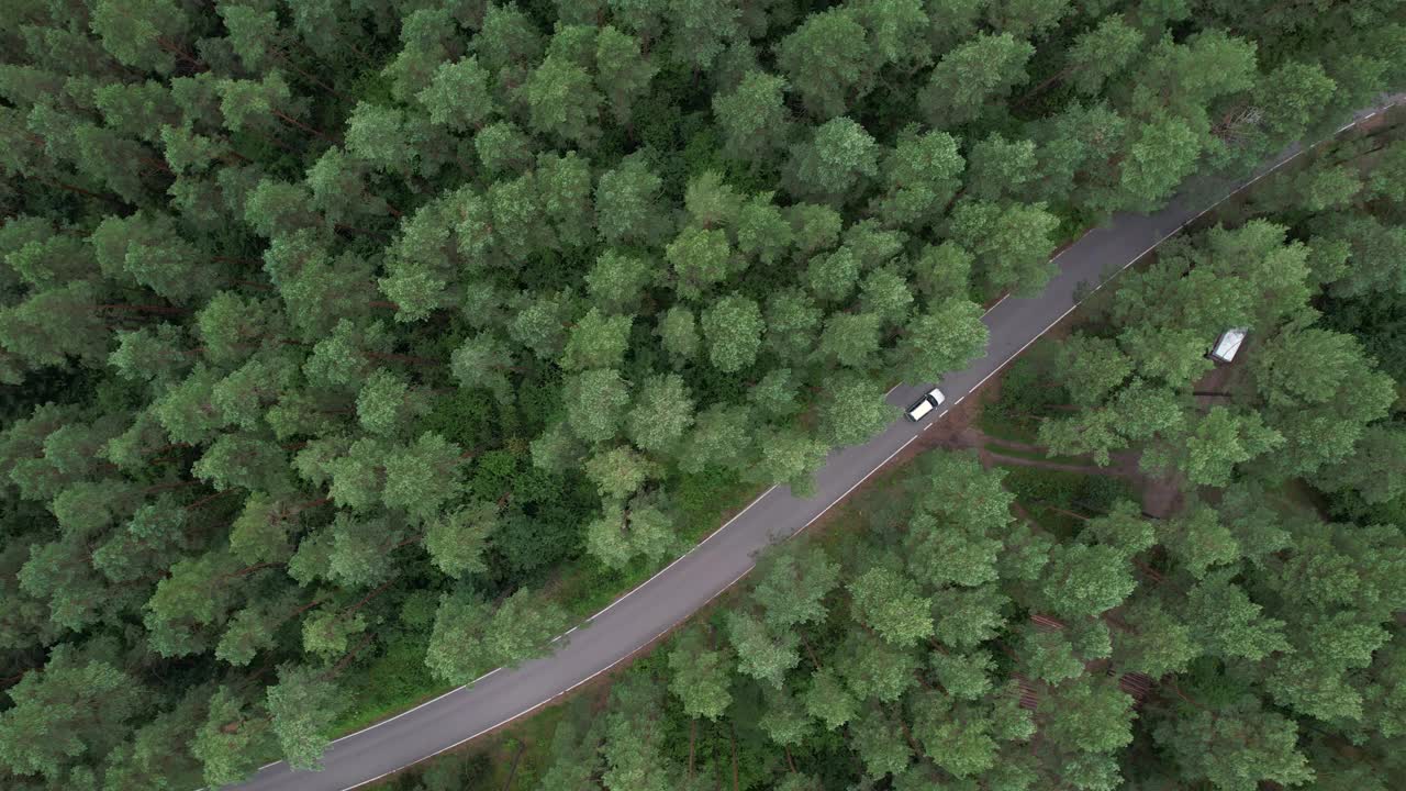鸟瞰图夏日，白色轿车行驶在柏油路上，穿过广阔的森林。汽车在松林道路上行驶的航拍照片。穿越森林的公路旅行。风景优美的夏季景观。视频素材