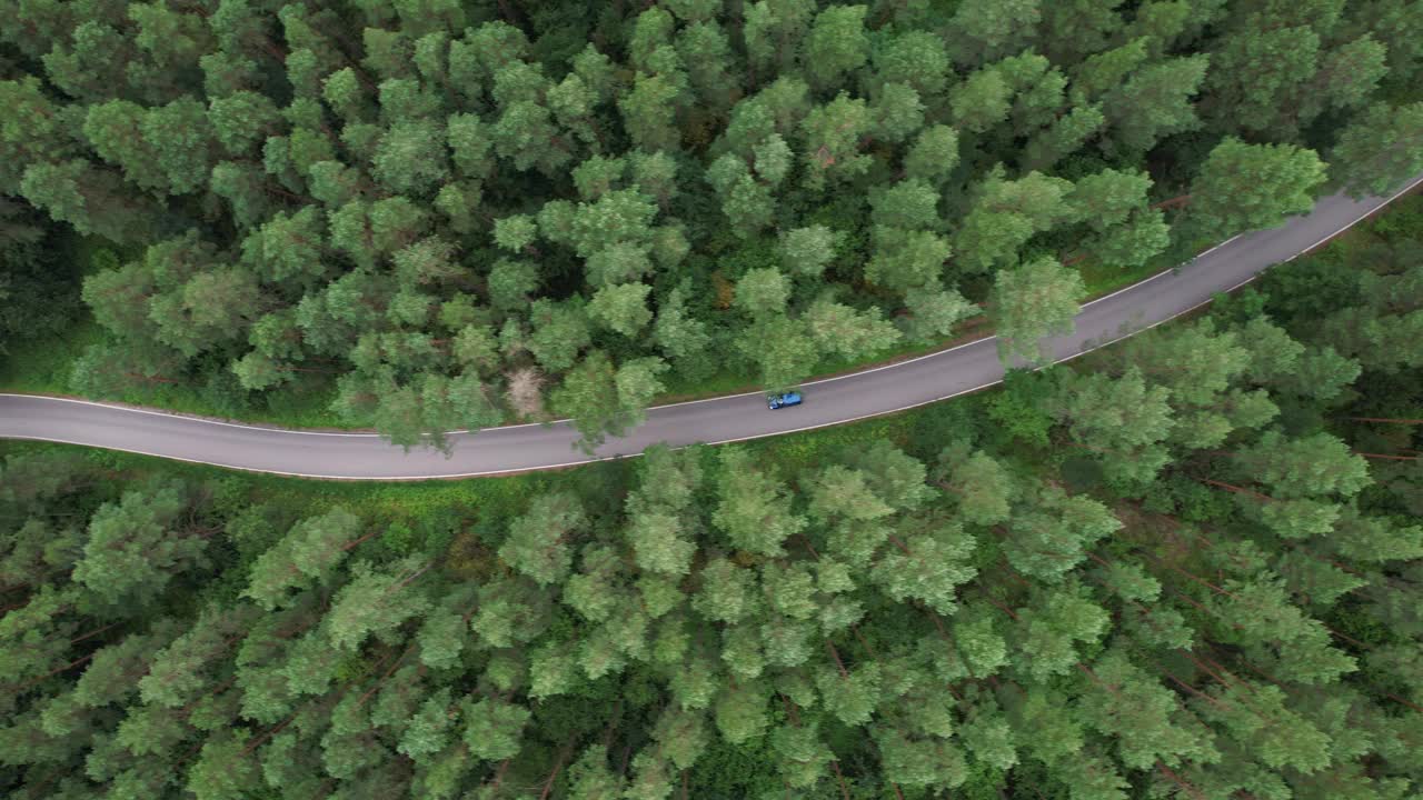 夏日，蓝色汽车行驶在柏油路上，穿过广阔的森林。汽车在松林道路上行驶的航拍照片。穿越森林的公路旅行。风景优美的夏季景观。视频素材