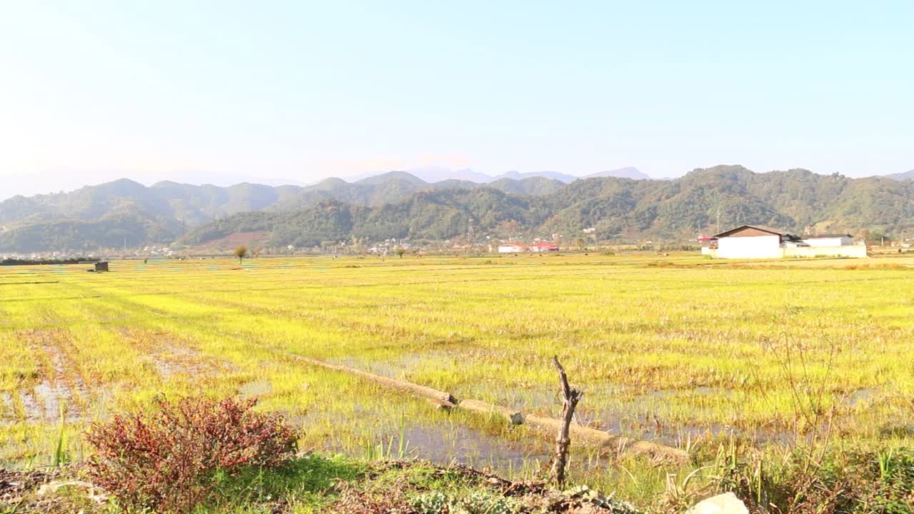 平原地形视频素材