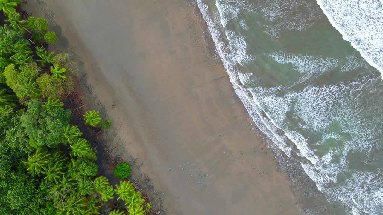 多米尼加，哥斯达黎加热带海岸线视频素材