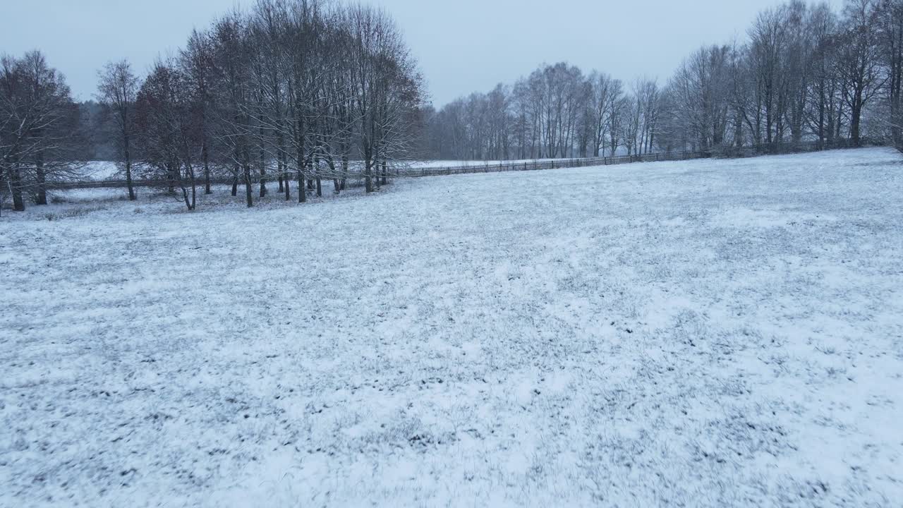 在有树的雪地里下雪。雪花飞进了镜头。视频素材