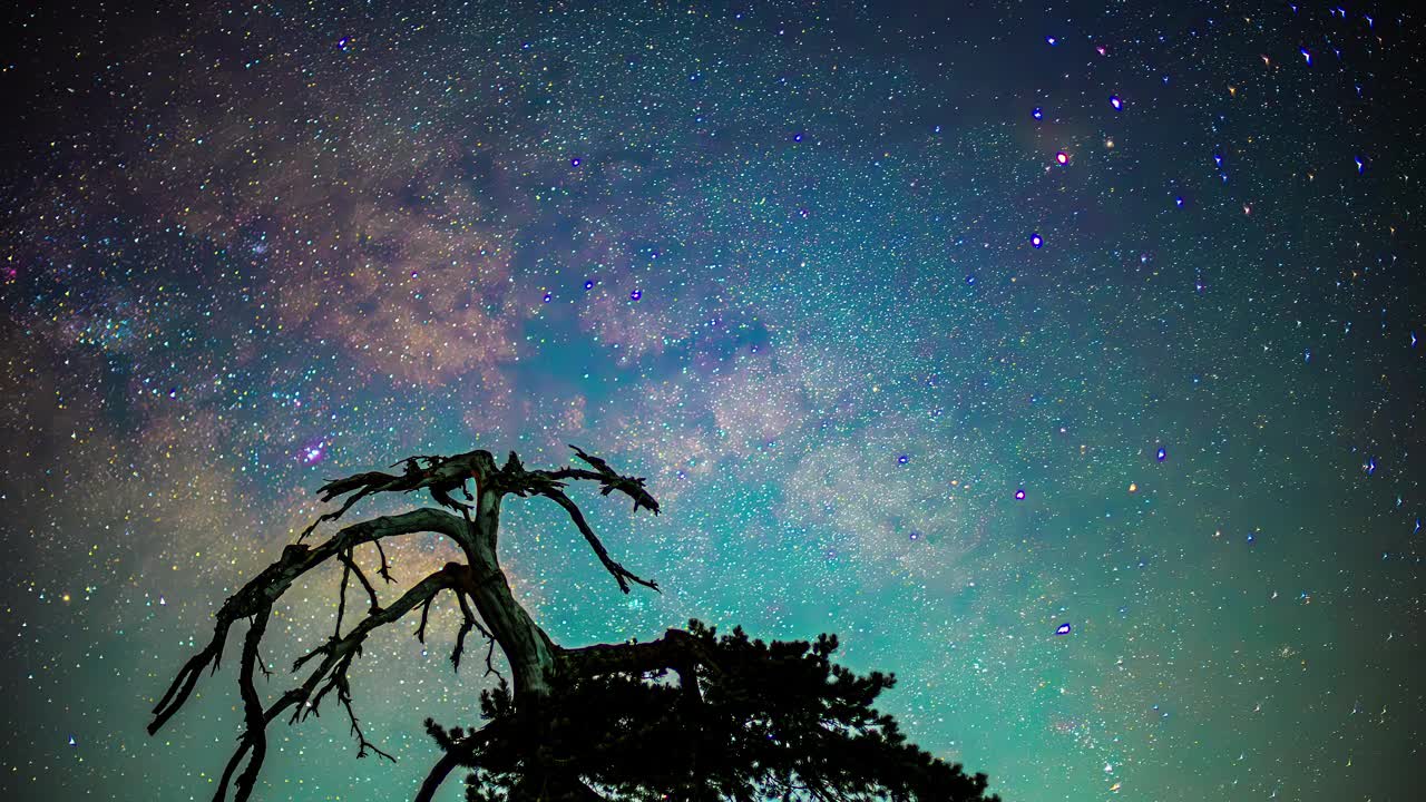 一棵孤零零的树衬着星空和彩云视频下载