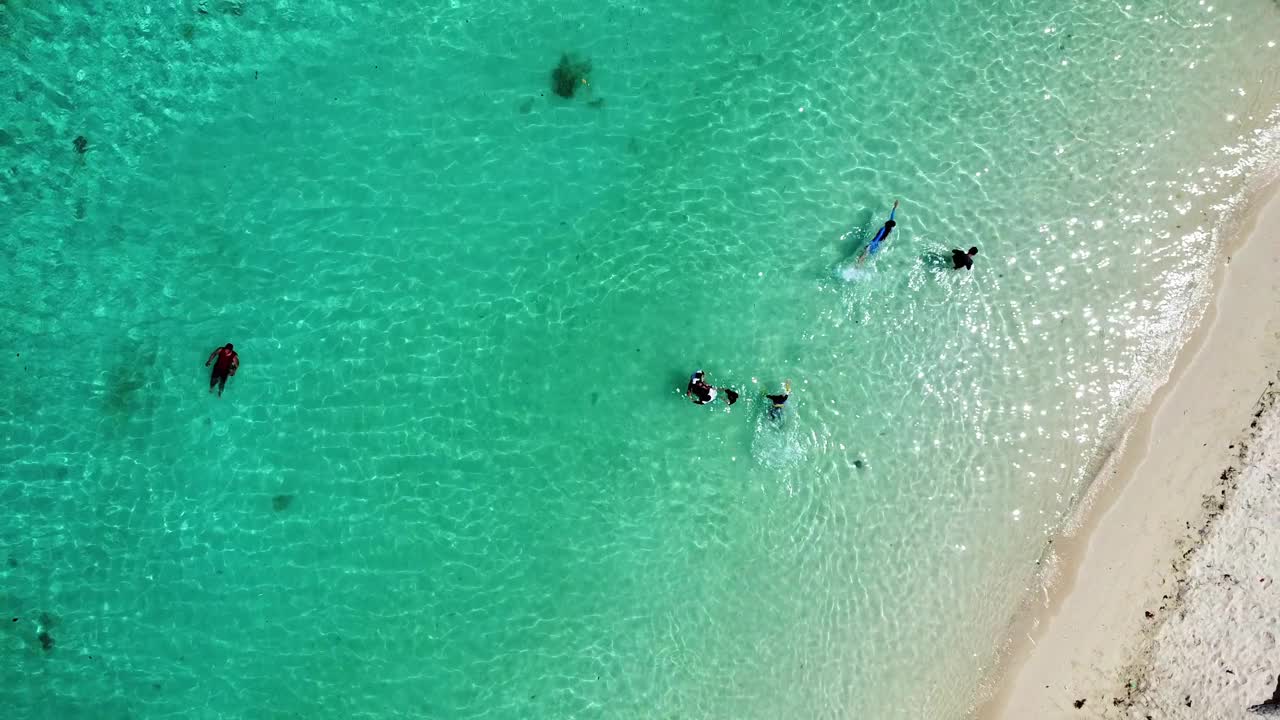 人们在清澈的海水中游泳，旁边是热带沙滩，鸟瞰视频素材