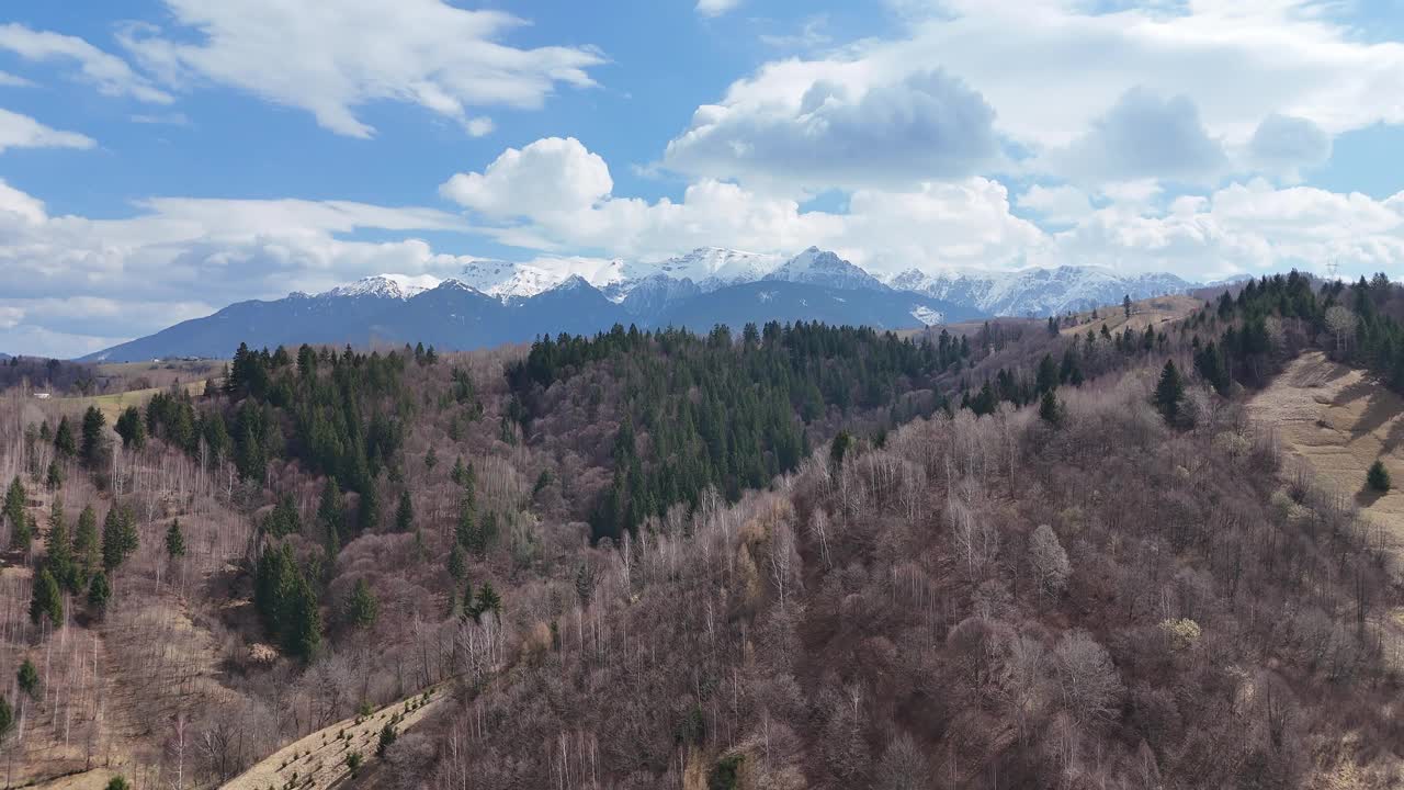 蔚蓝的天空下，郁郁葱葱的森林和白雪皑皑的群山，鸟瞰图视频素材