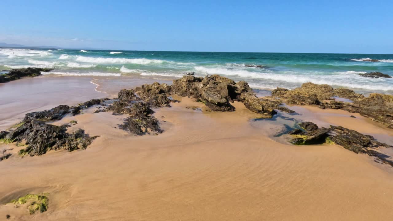 南布卡岩石海滩上的海鸥视频素材