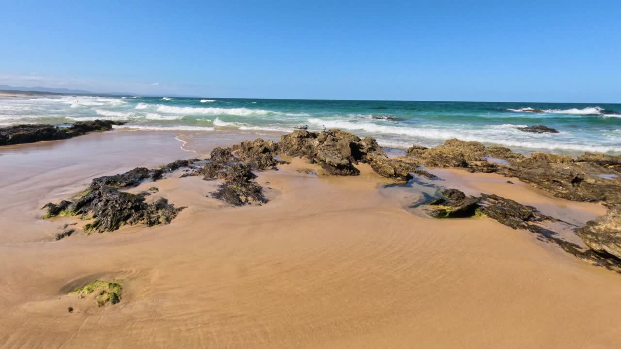 南布卡岩石海滩上的海鸥视频素材