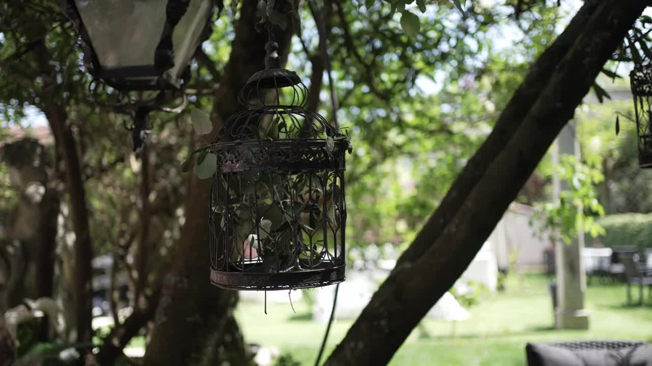 在阳光明媚的花园里，挂在树枝上的华丽鸟笼。视频素材