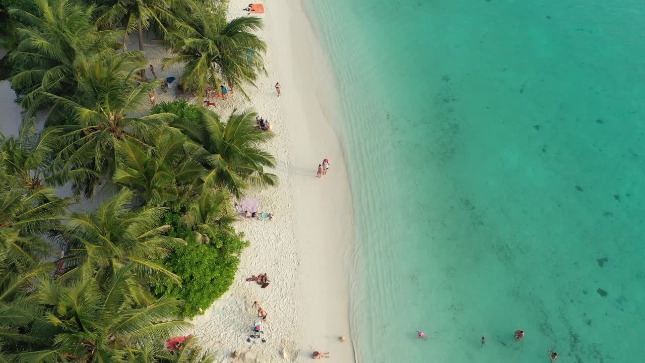 鸟瞰热带海滩，棕榈树和清澈的海水，马尔代夫。视频素材