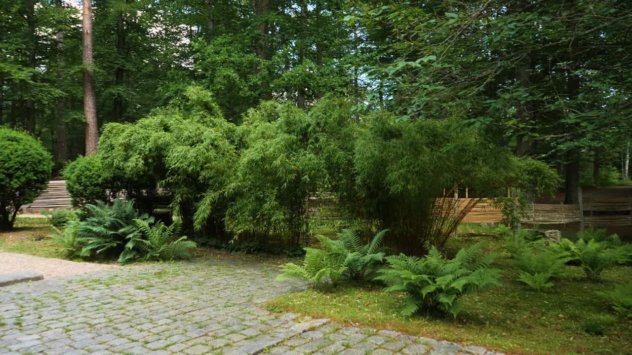 宁静的日本花园与郁郁葱葱的绿色在Ronneby Brunnspark, Blekinge，瑞典视频素材