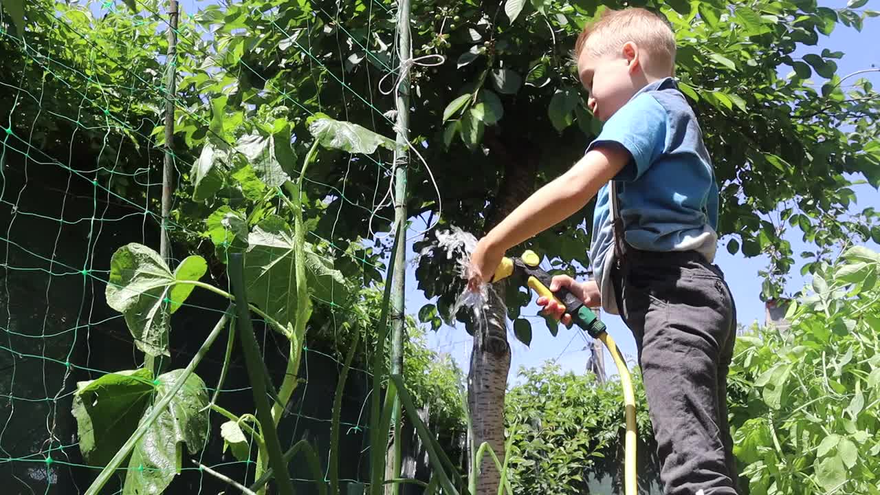 一个夏日，小农夫在花园里给植物浇水视频下载