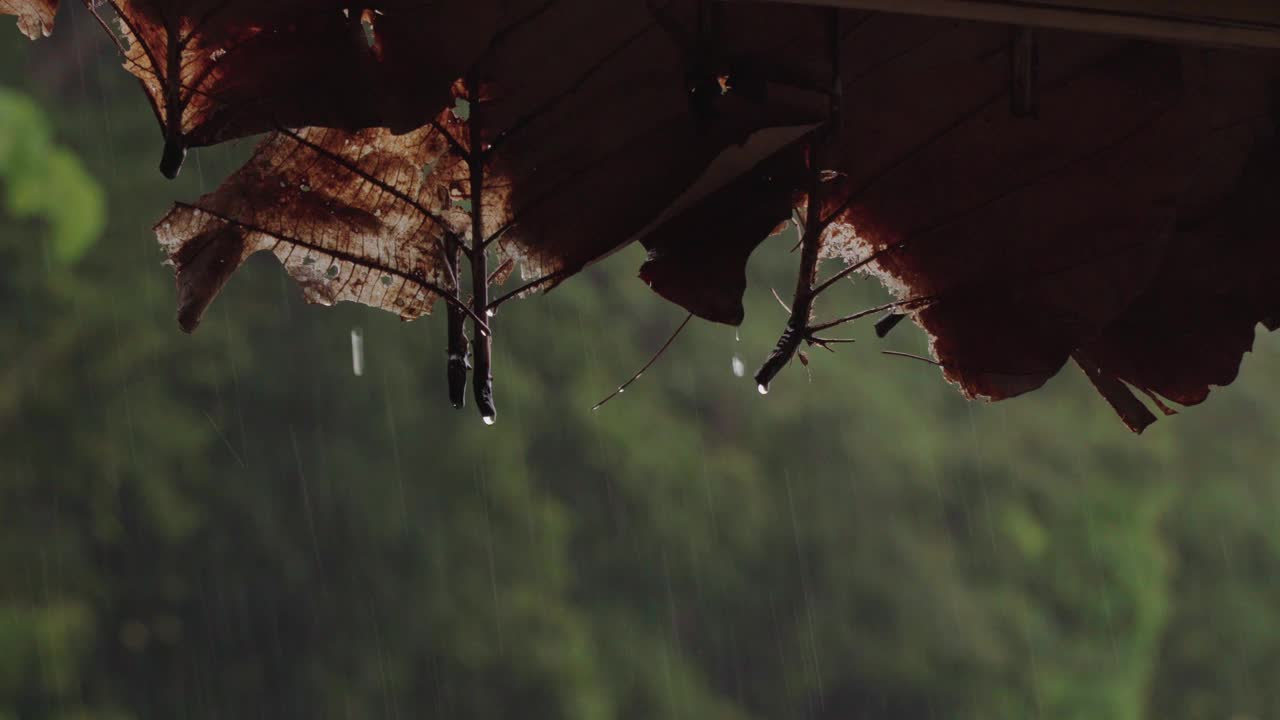 雨从屋顶落下视频素材