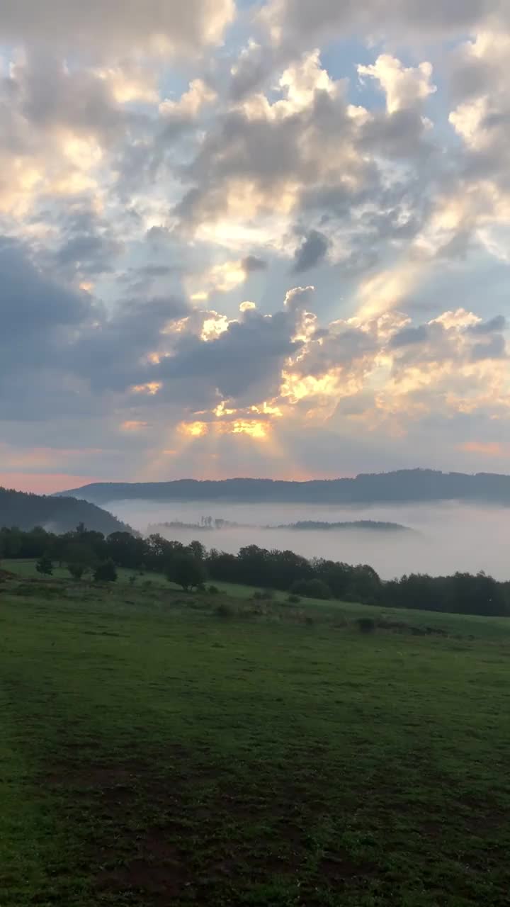 夏日的早晨，山间草地上平静多雾视频素材