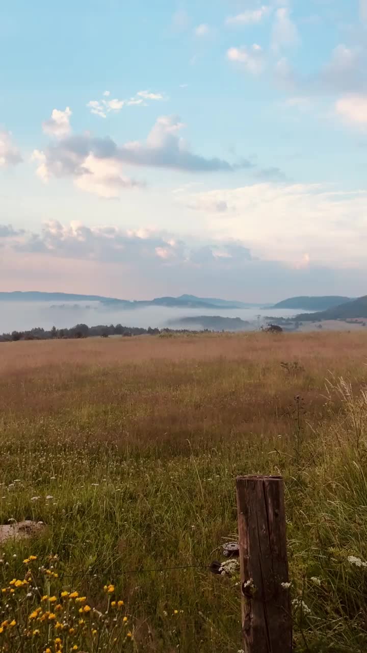 夏日的早晨，山间草地上平静多雾视频素材