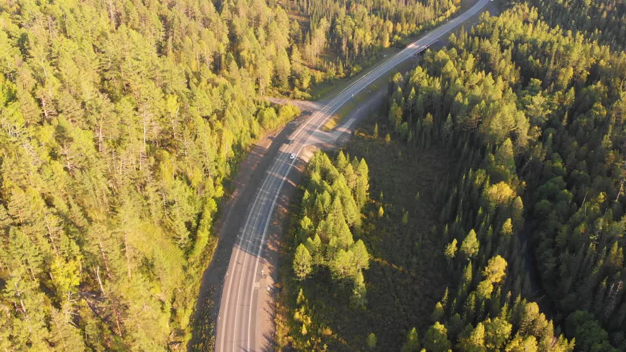 在落日的余晖中，汽车沿着森林中央一条风景如画的道路行驶。夏季旅行。视频素材