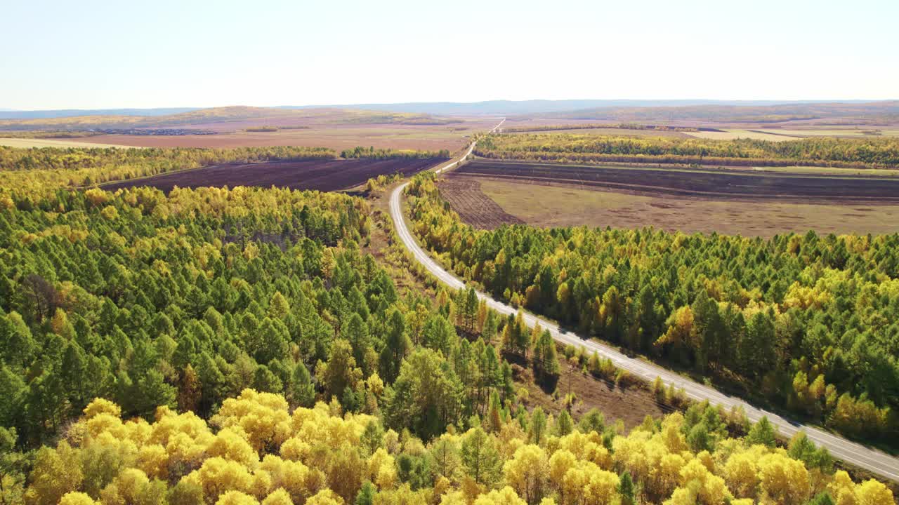 道路穿过秋林和农田。在一个阳光明媚的秋日，美丽的铺砌道路。视频素材