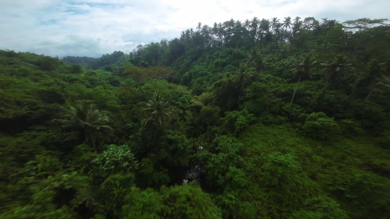 FPV，生态森林荒野，植被茂密，异国情调的目的地视频素材