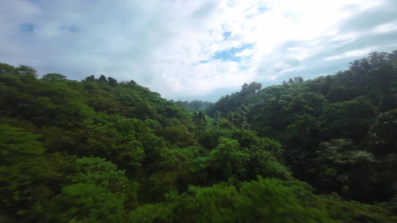 热带气候，郁郁葱葱，地理位置生机勃勃，东南亚雨林视频素材