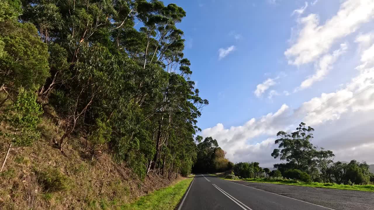 大洋路上的风景大道视频素材