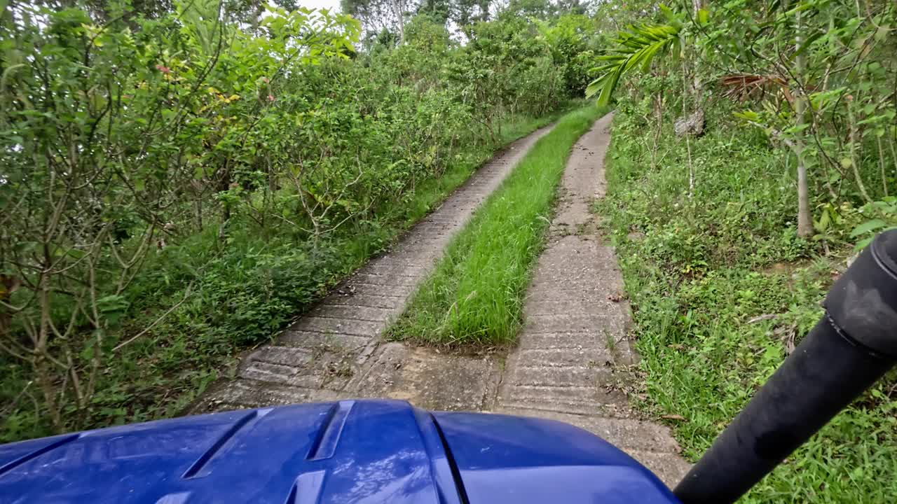 POV驾车穿过雨林视频下载