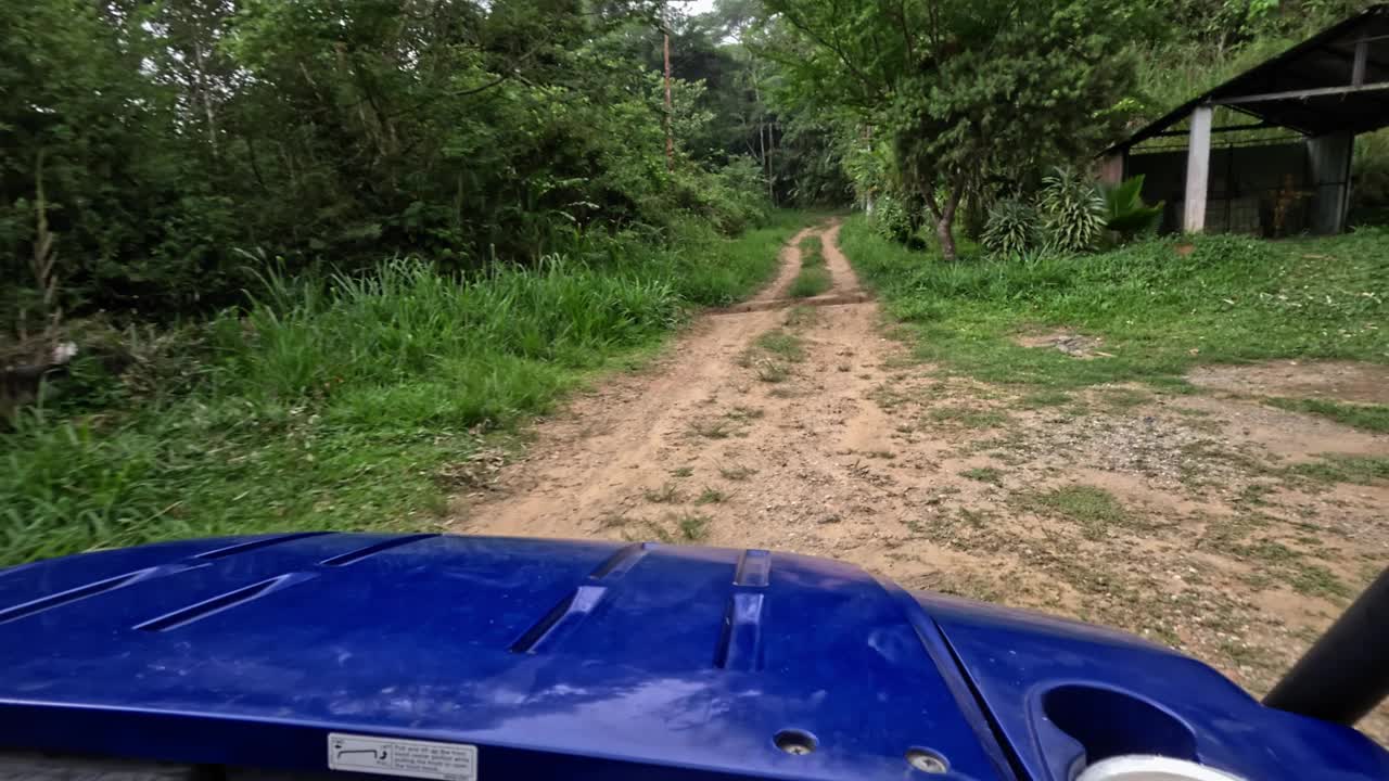 POV驾车穿过雨林视频下载