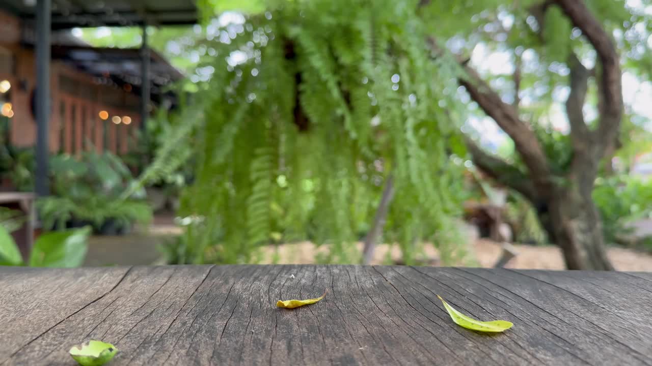 散焦的自然背景和木桌与落叶在花园咖啡馆。视频素材