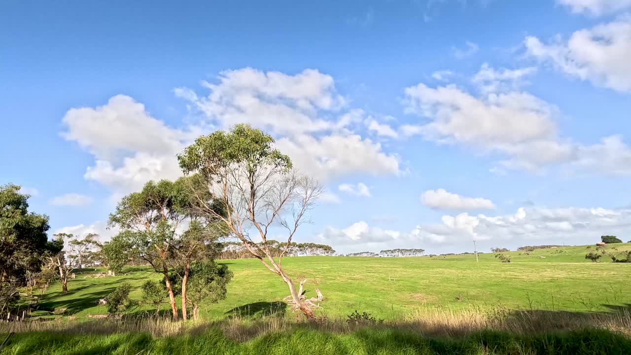 沿着大洋路的风景驾驶视频素材