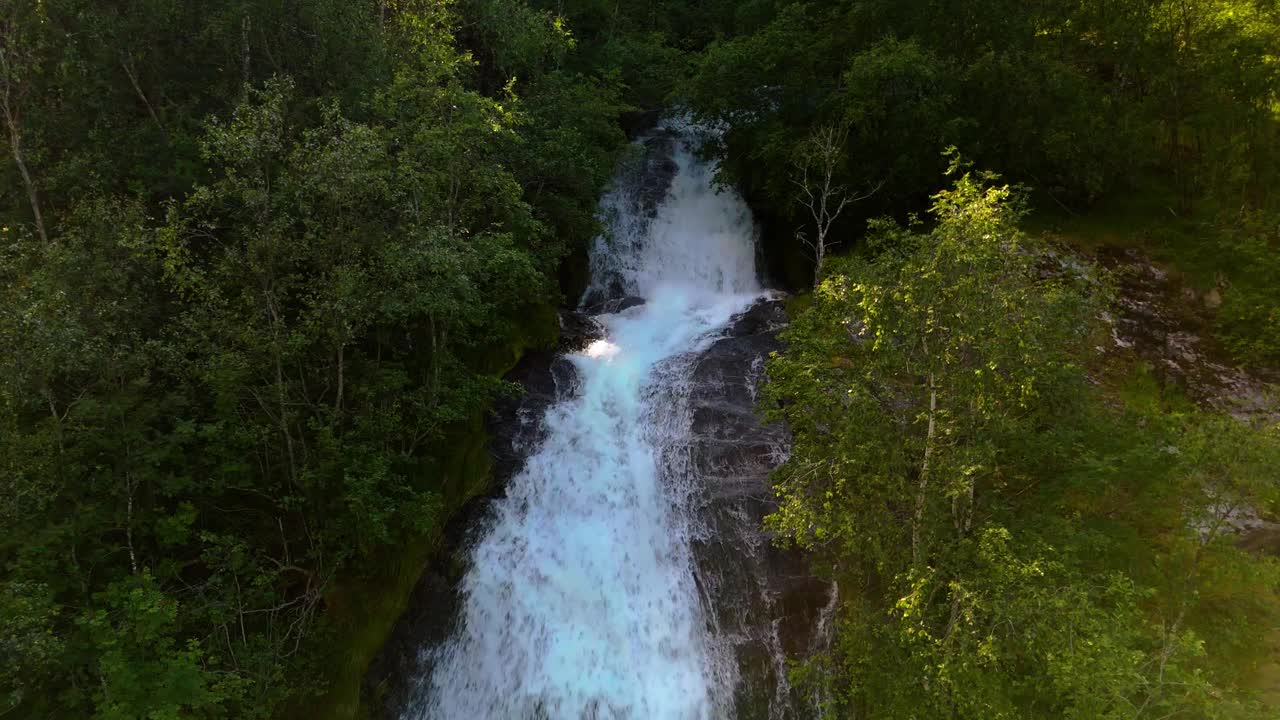 fjaerlandsjorden，挪威维斯特兰峡湾，令人惊叹的瀑布坐落在郁郁葱葱的森林环境中视频素材