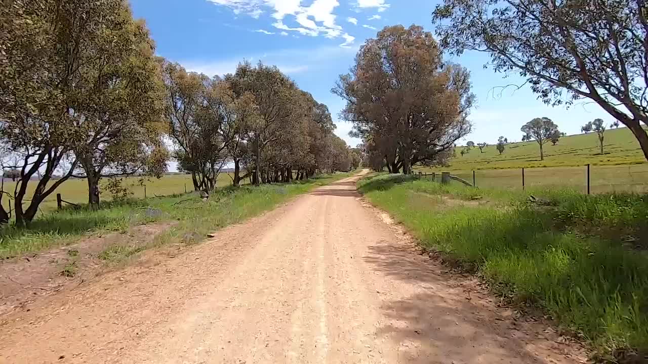 一条土路一直延伸到远处，蜿蜒穿过新南威尔士州亚斯(Yass)广阔的乡村内陆景观，两侧是连绵起伏的山丘、广阔的田野和一块块的原始丛林视频素材