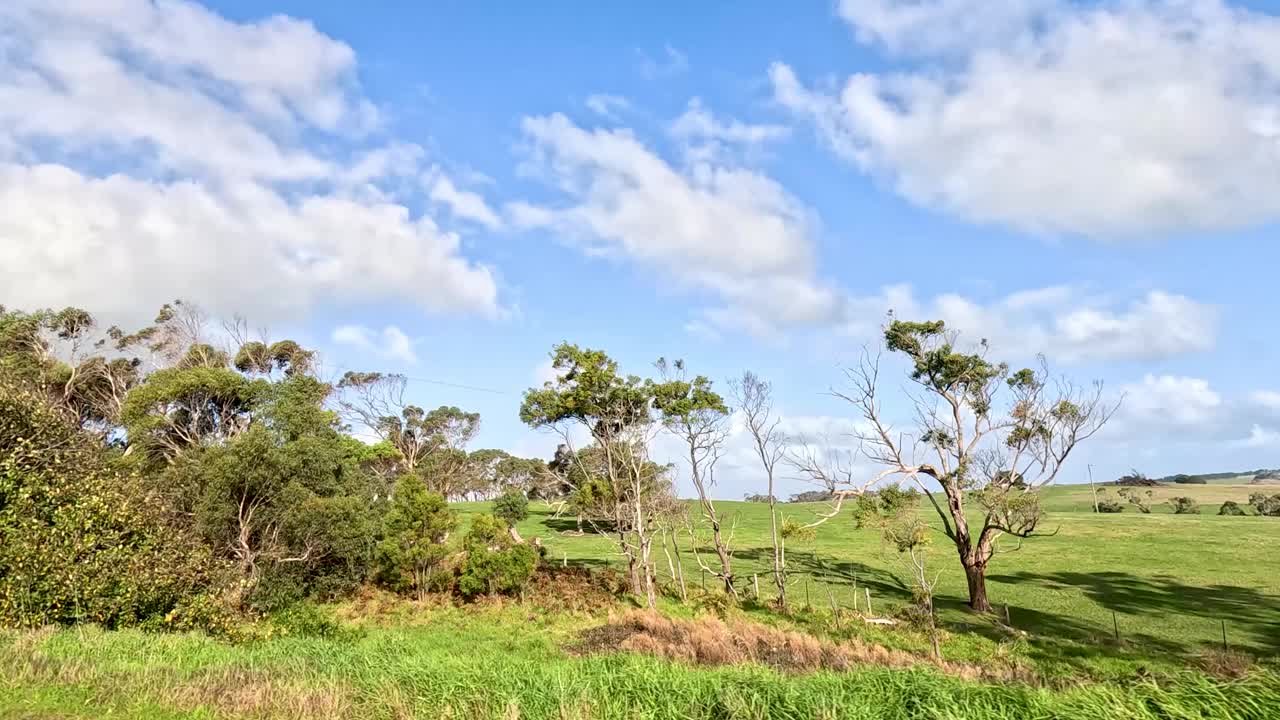 沿着大洋路的风景驾驶视频素材