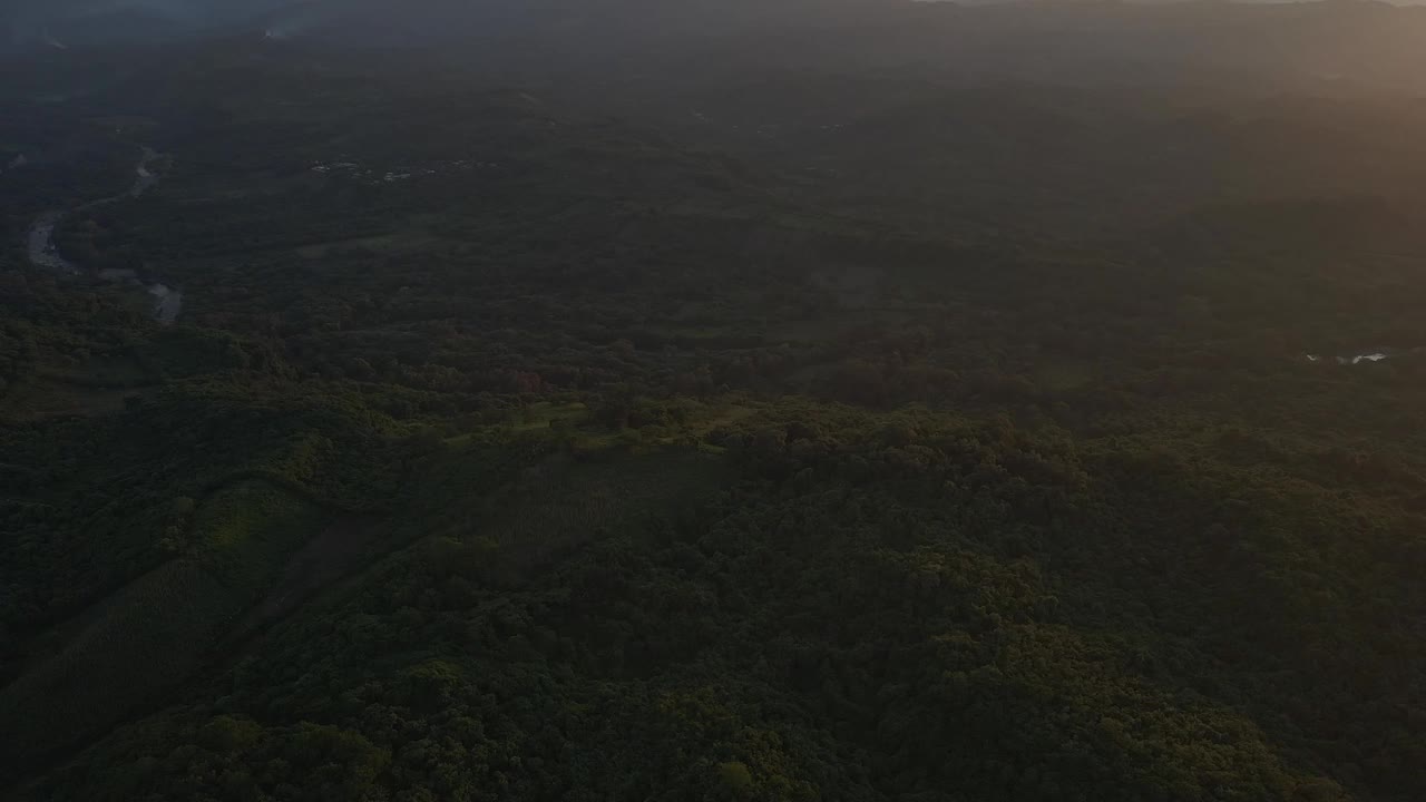 茂密的墨西哥森林，电影般的无人机在绿色植被上飞行视频素材