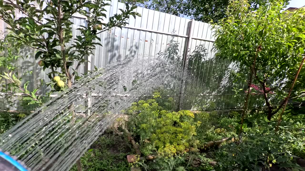 用喷枪在夏日小屋里给植物浇水视频素材