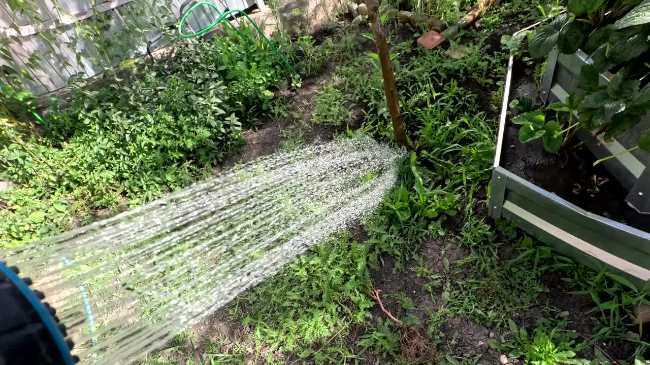 用喷枪在夏日小屋里给植物浇水视频素材