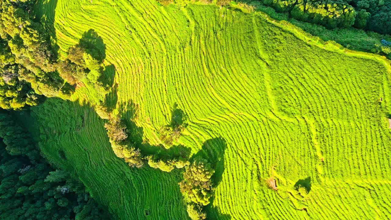 蓬塔达马德鲁加达郁郁葱葱的山顶俯瞰大西洋海岸线，<s:1>米格尔岛视频素材