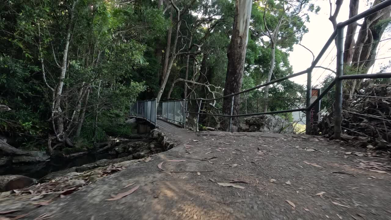 伦巴第的森林步道视频素材