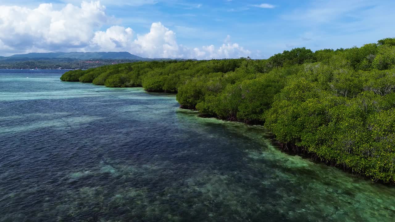 鸟瞰图的红树林在Jungutbatu, Nusa Lembongan，巴厘岛，印度尼西亚视频素材