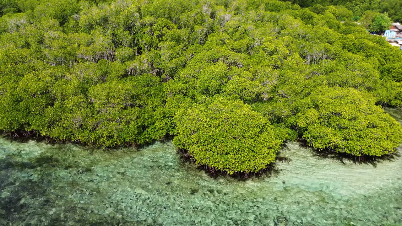 鸟瞰图的红树林在Jungutbatu, Nusa Lembongan，巴厘岛，印度尼西亚视频素材