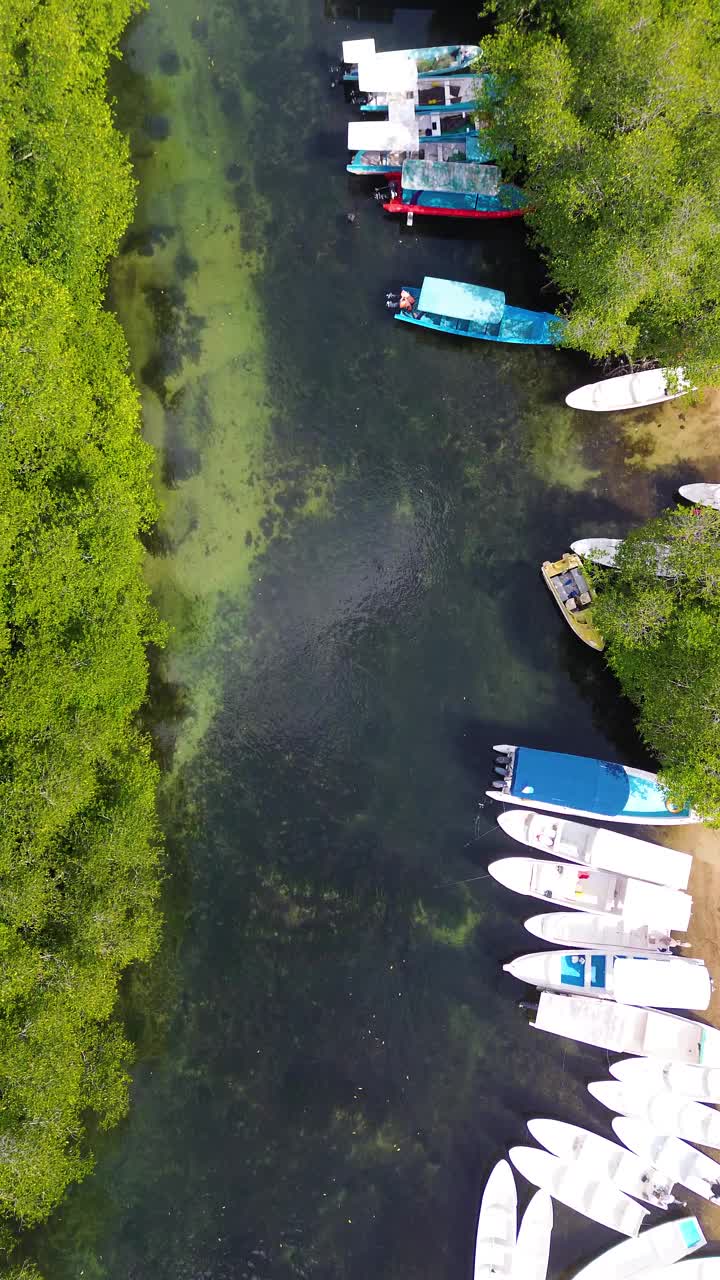 鸟瞰图的红树林在Jungutbatu, Nusa Lembongan，巴厘岛，印度尼西亚视频素材